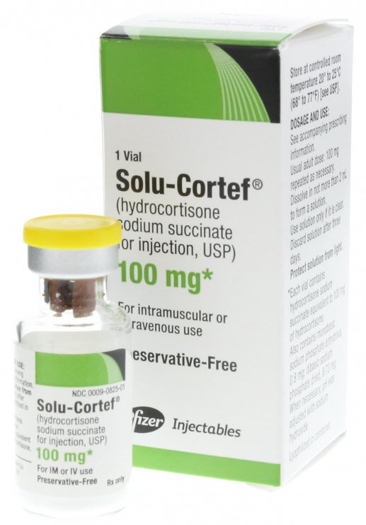 Solu-Cortef® Hydrocortisone Sodium Succinate, Vial 2 mL
